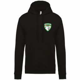 SWEAT-SHIRT CAPUCHE H SR COLMAR