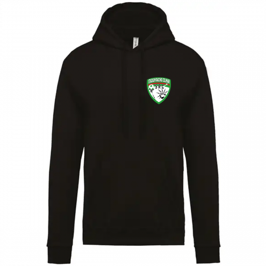 SWEAT-SHIRT CAPUCHE H SR COLMAR